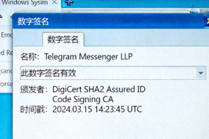 Windows系统文件属性对话框截图，展示数字签名标签页中显示的有效Telegram官方签名